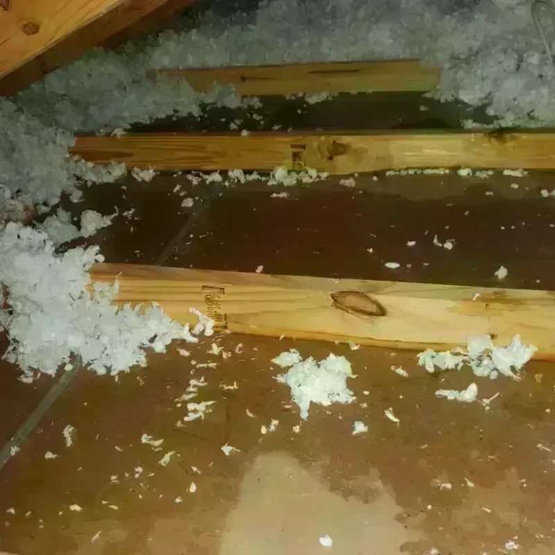 Attic Water Damage in Farmingdale, ME